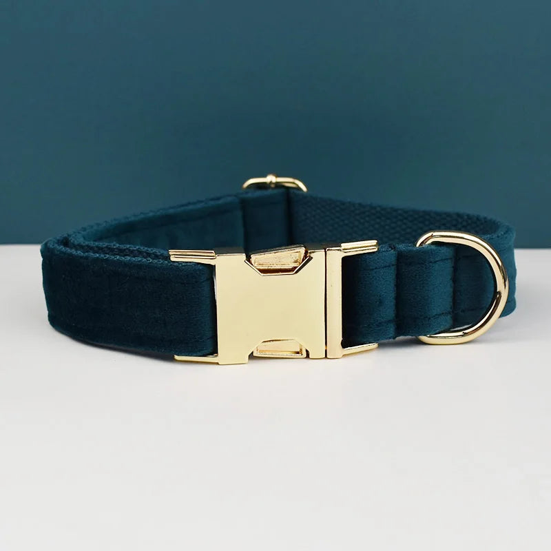 Adjustable Collar & Leash