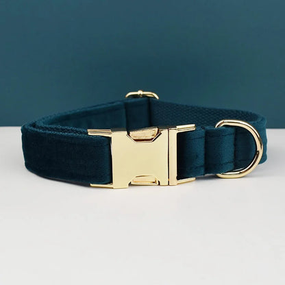 Adjustable Collar & Leash