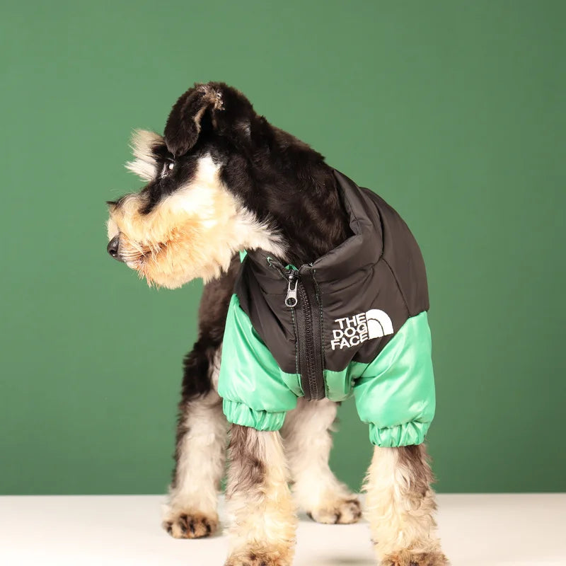 The Dog Face Jacket