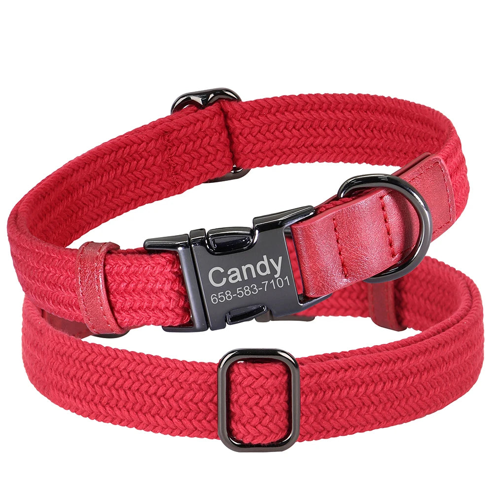 Custom Collar