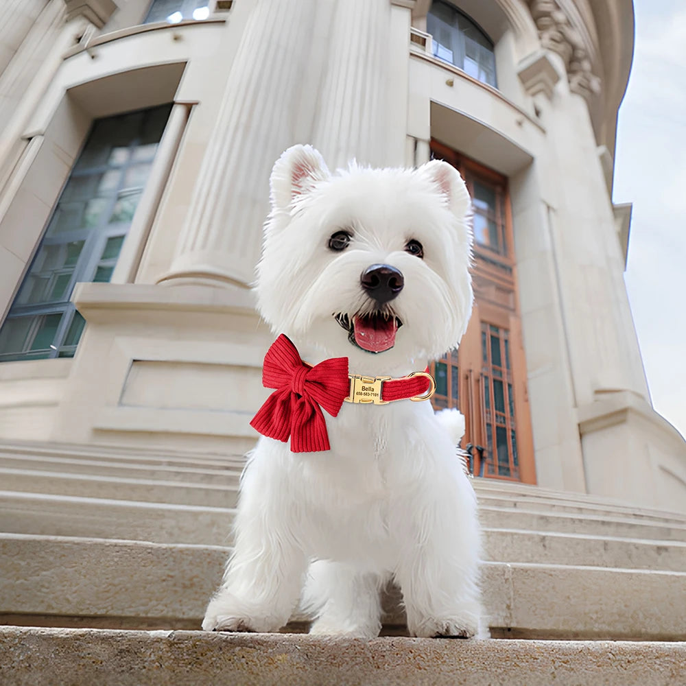 Bowtie Collar