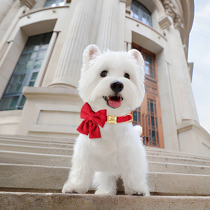 Bowtie Collar