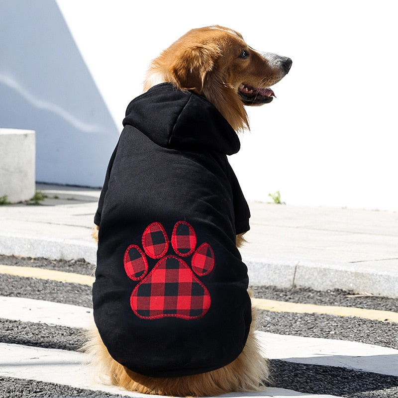 Paw Print Jacket