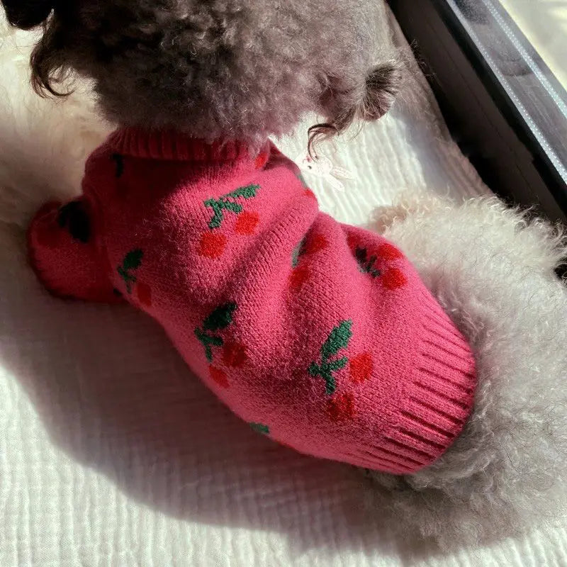 Cherry Knit Sweater
