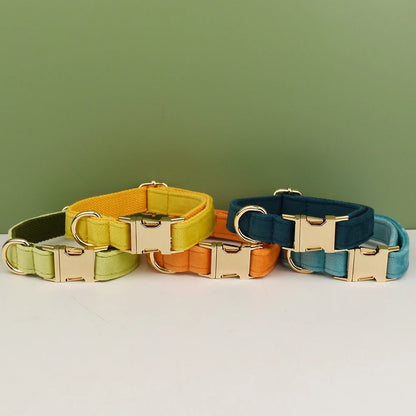 Adjustable Collar & Leash