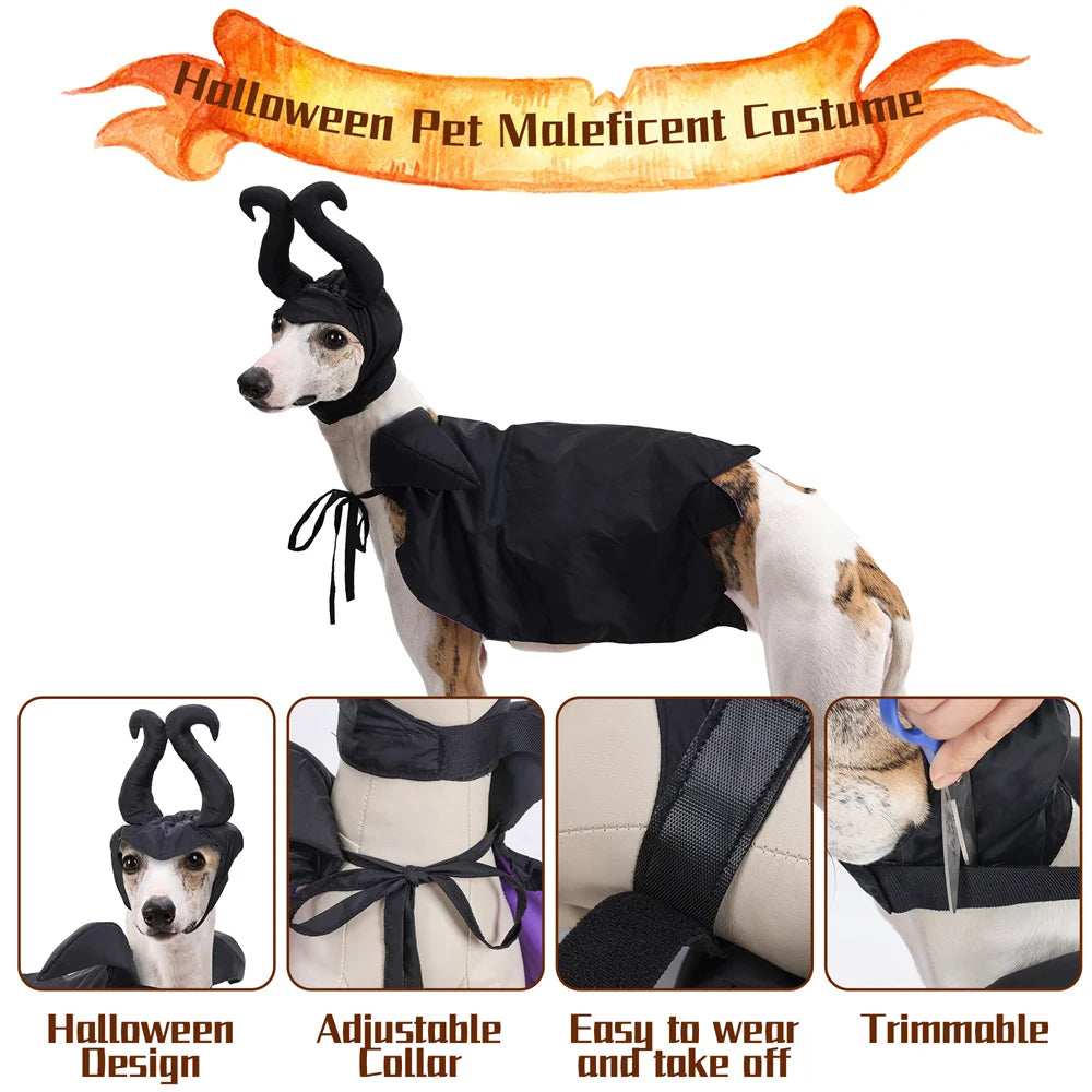 Maleficent Costume