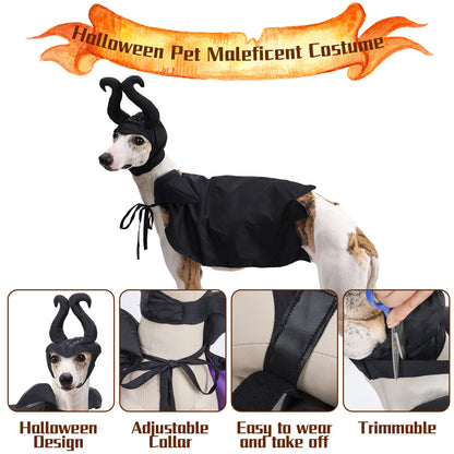 Maleficent Costume