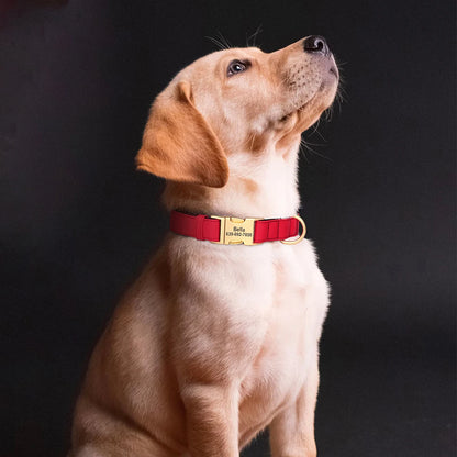 Waterproof Collar