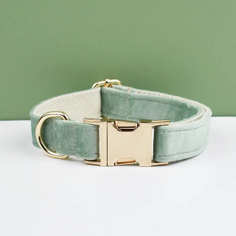 Adjustable Collar & Leash
