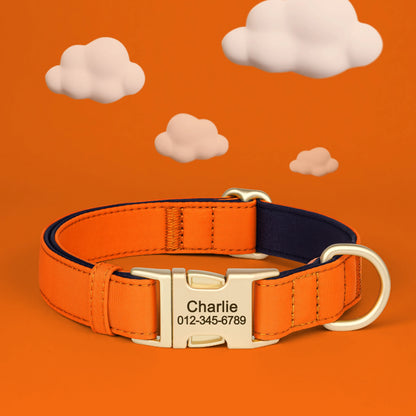 Personalized Nylon Collar