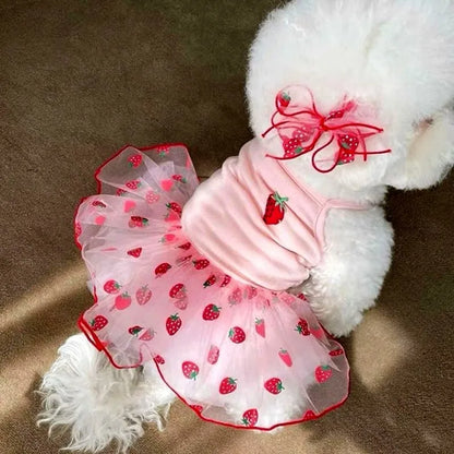 Lace Bow Dress