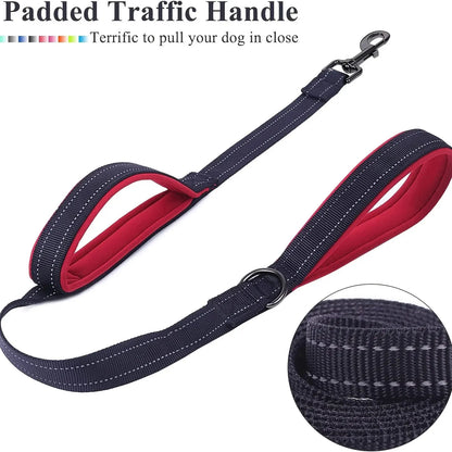 Double Handle Leash