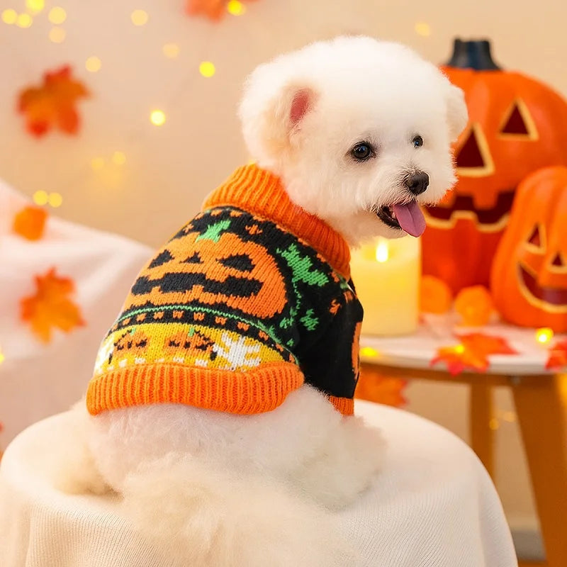 Pumpkin Knit Sweater