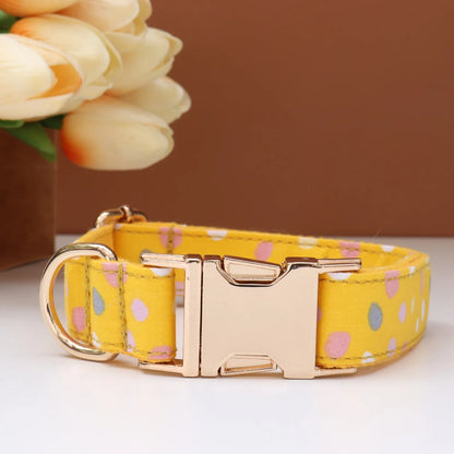 Custom Collar & Leash