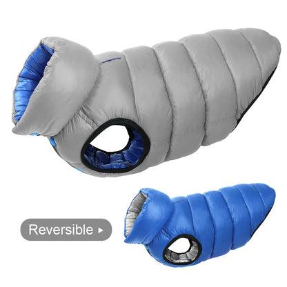 47959017816411|47959017881947|47959017947483|47959018013019|47959018275163|47959019422043|47959019454811