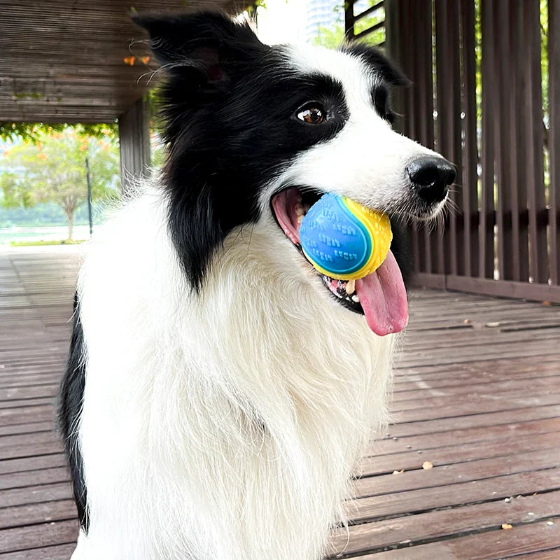 Teeth Cleaning Ball