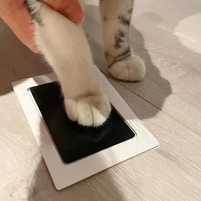Paw Print