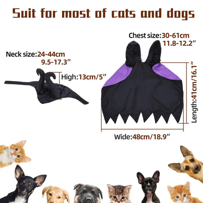 Maleficent Costume