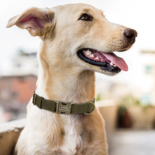Custom Leather Collar