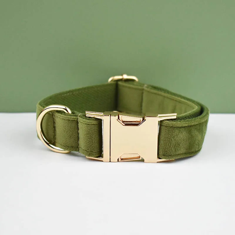 Adjustable Collar & Leash