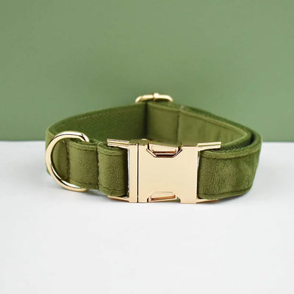 Adjustable Collar & Leash
