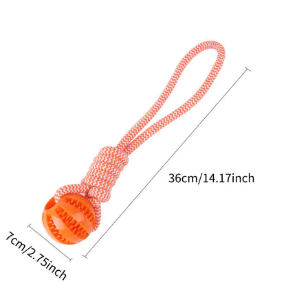 Interactive Treat Rope