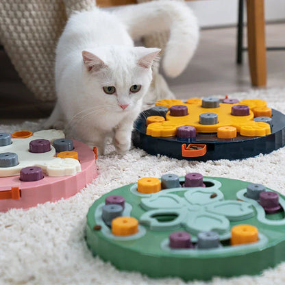 Puzzle Toy