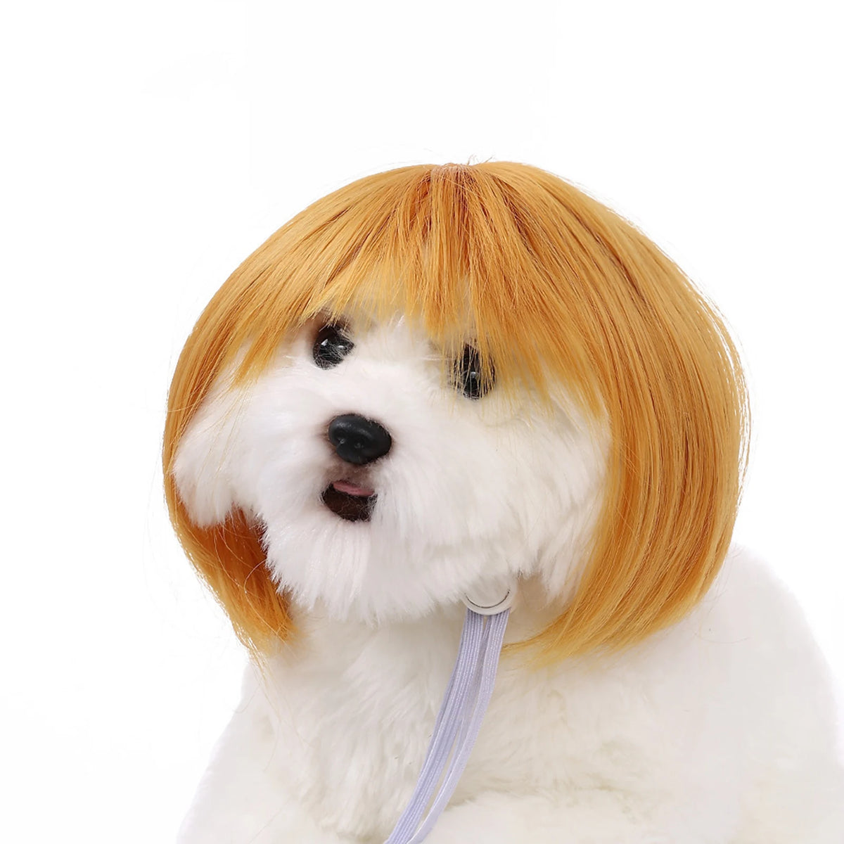 Playful Wig