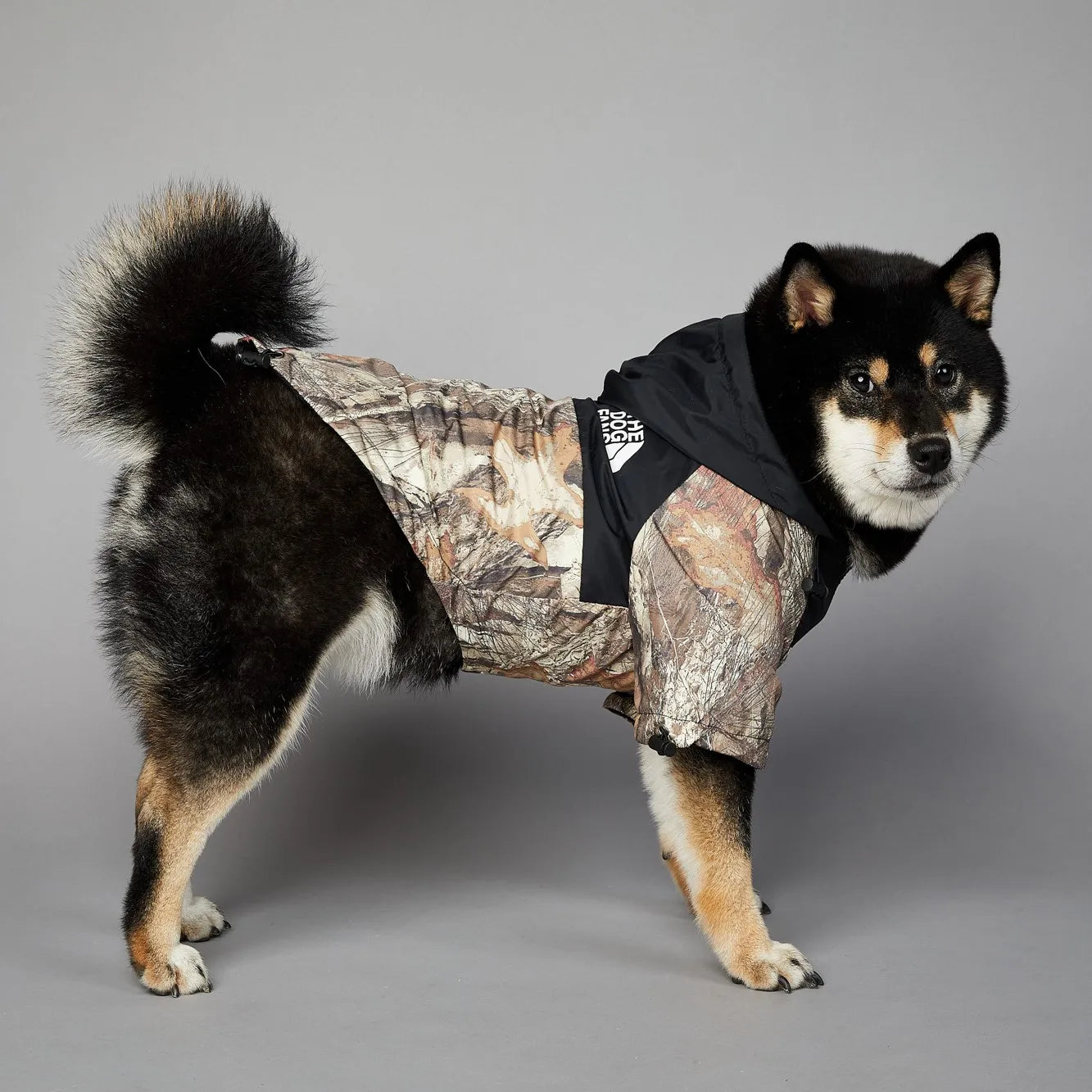 The Dog Face Jacket