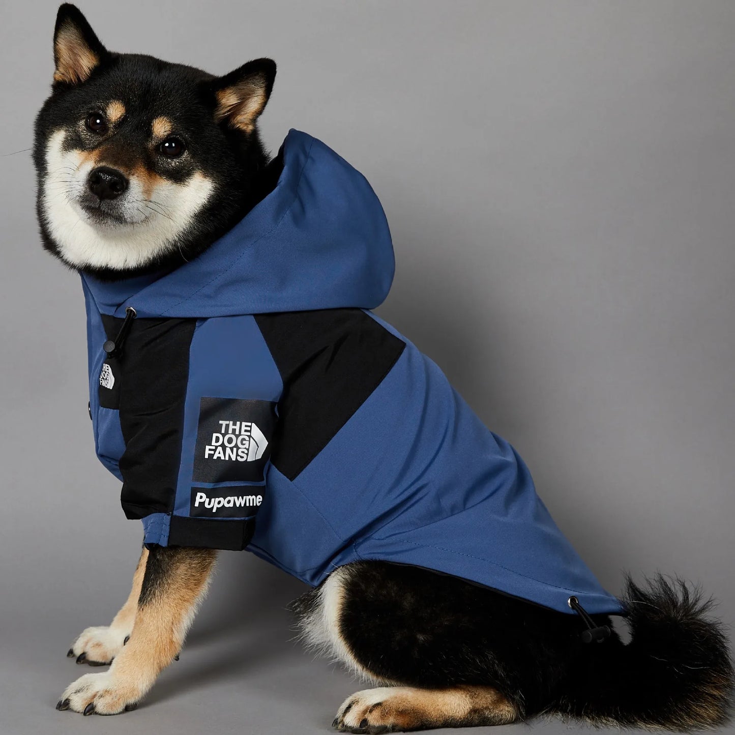 The Dog Face Raincoat