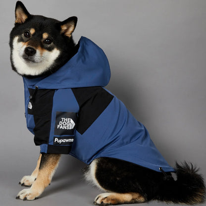 The Dog Face Raincoat