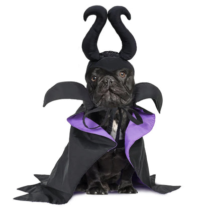 Maleficent Costume