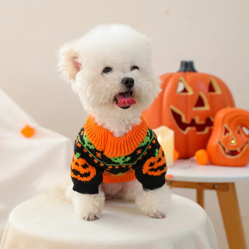 Pumpkin Knit Sweater