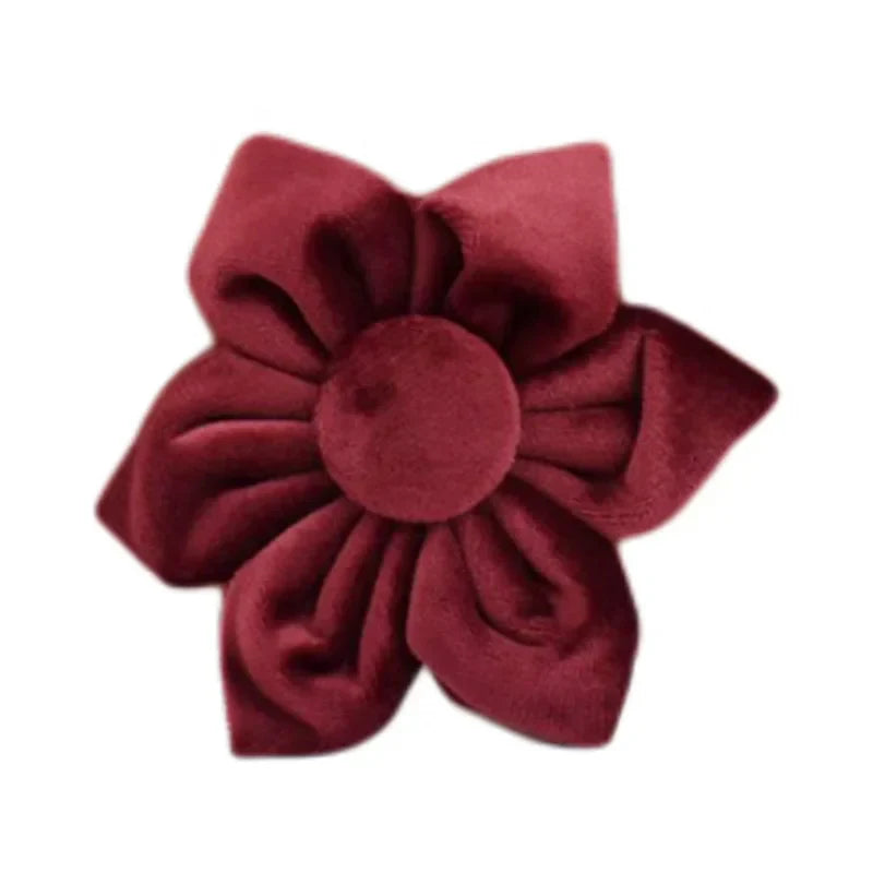 47874008351067|47874008416603|47874008744283|47874008842587|47874008908123