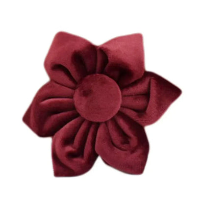 47874008351067|47874008416603|47874008744283|47874008842587|47874008908123