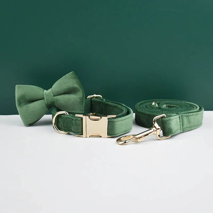 Adjustable Collar & Leash