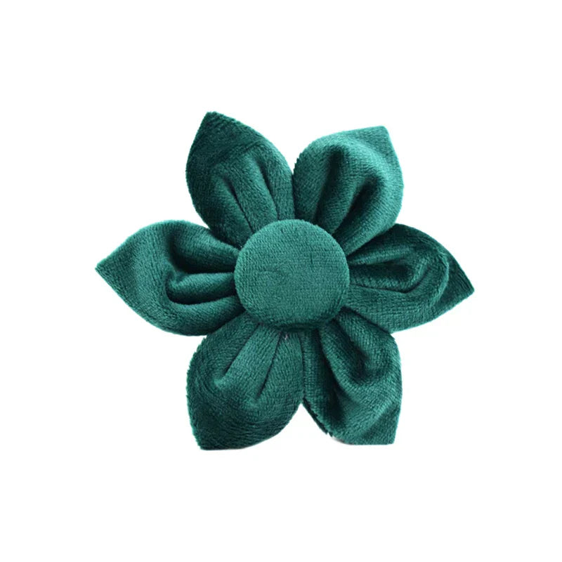 47874000879963|47874000912731|47874000945499|47874000978267|47874001011035