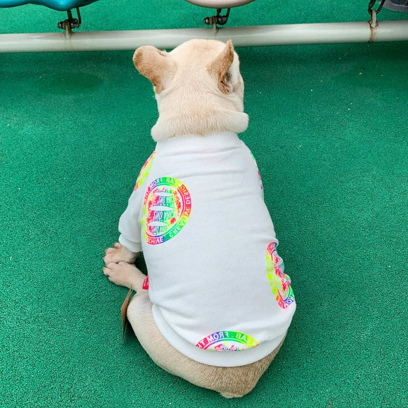 Matching Human And Dog Outfit