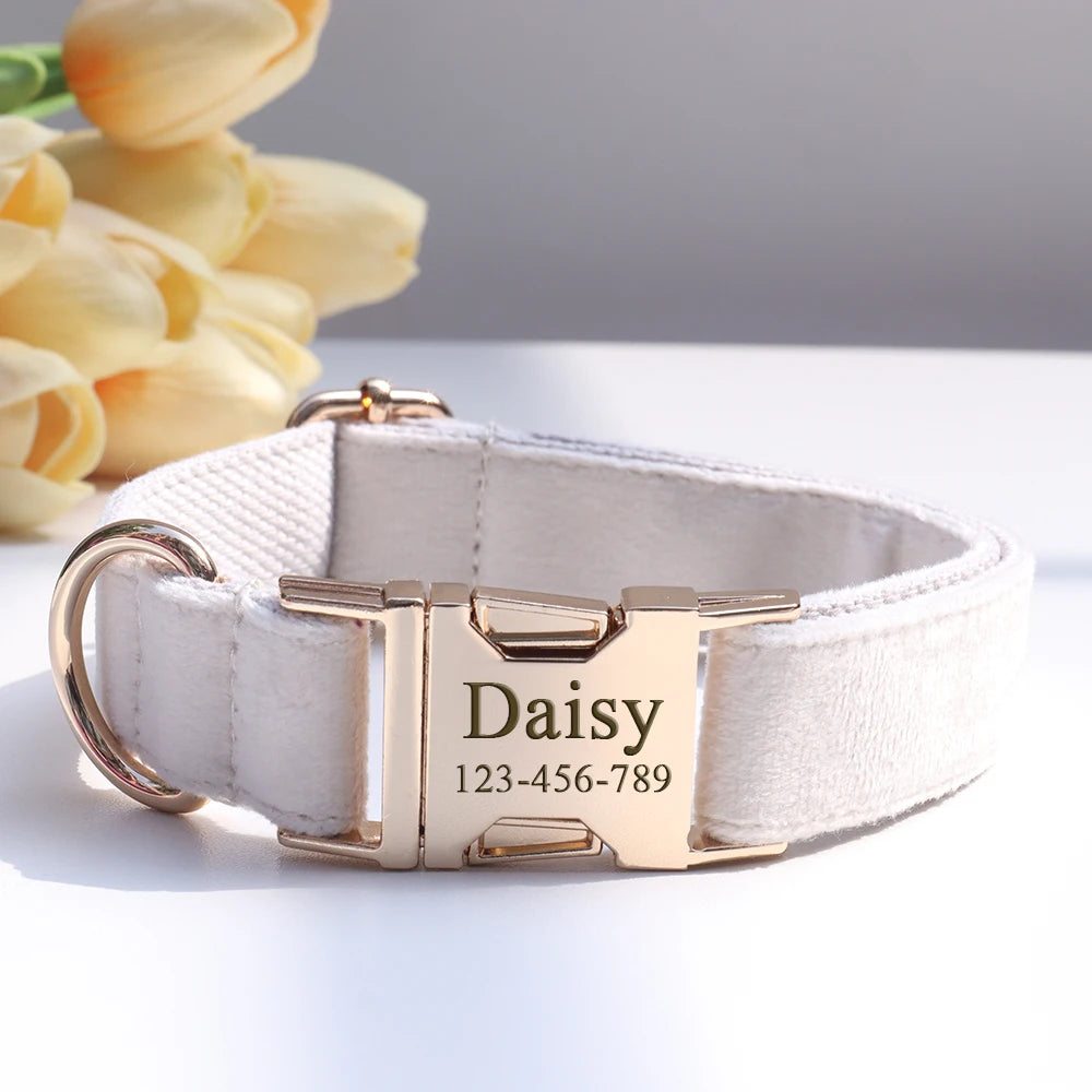 Personalized Collar