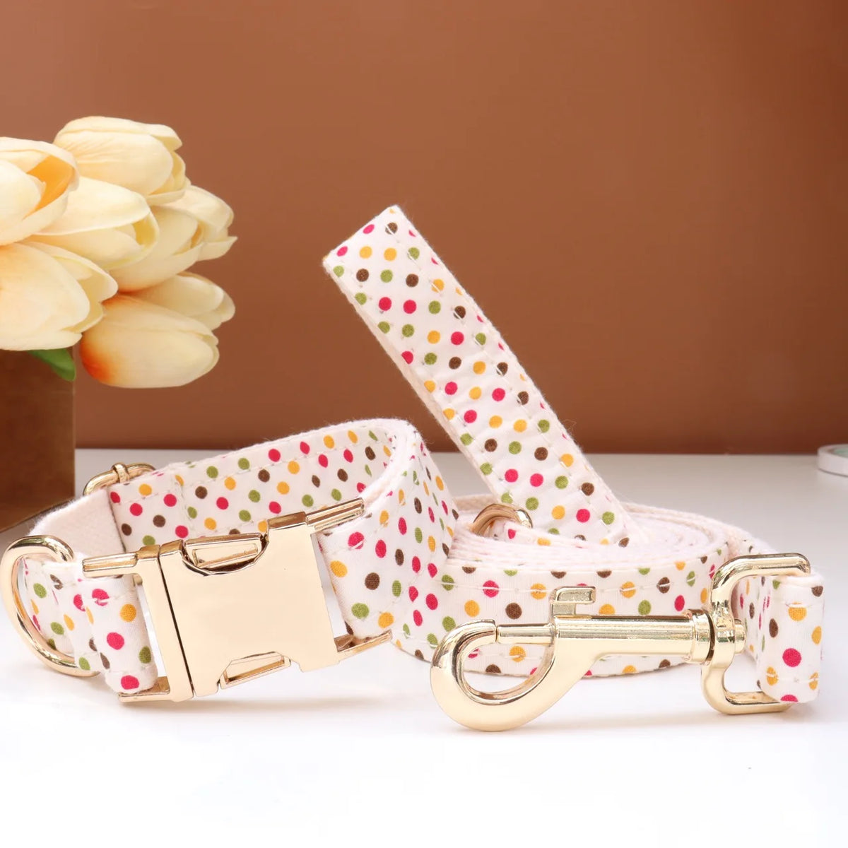 Custom Collar & Leash