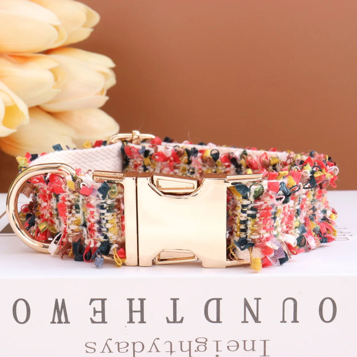 Luxury Collar & Leash