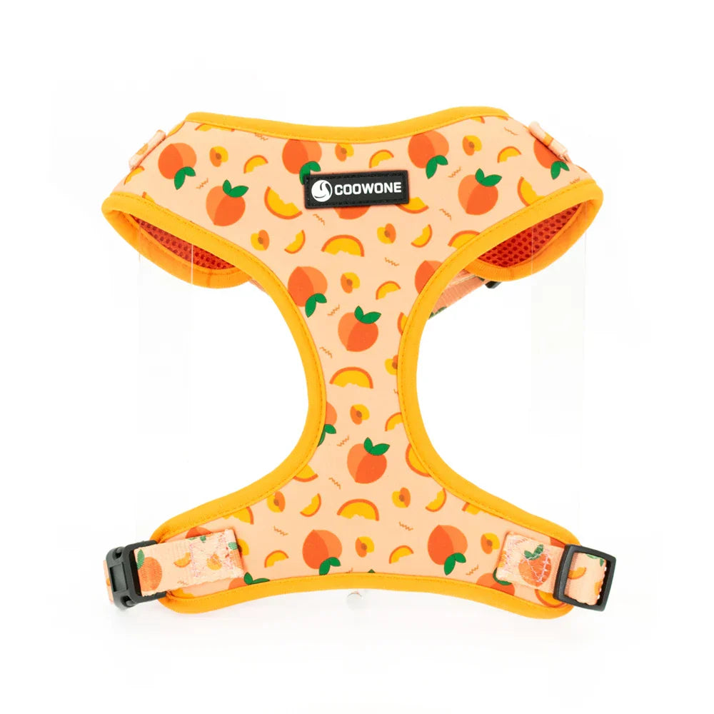 47874016051547|47874016084315|47874016608603|47874017067355