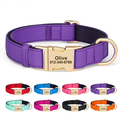 Personalized Nylon Collar