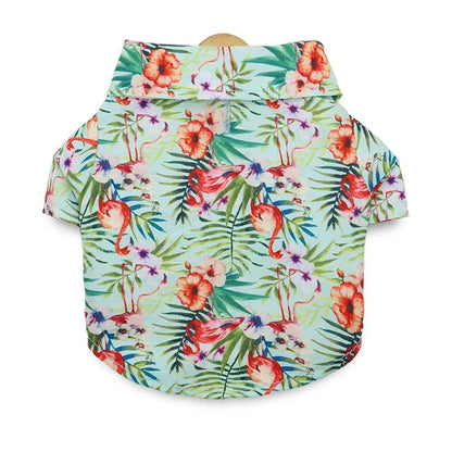 48293546754395|48293546787163|48293546819931|48293546852699|48293546951003