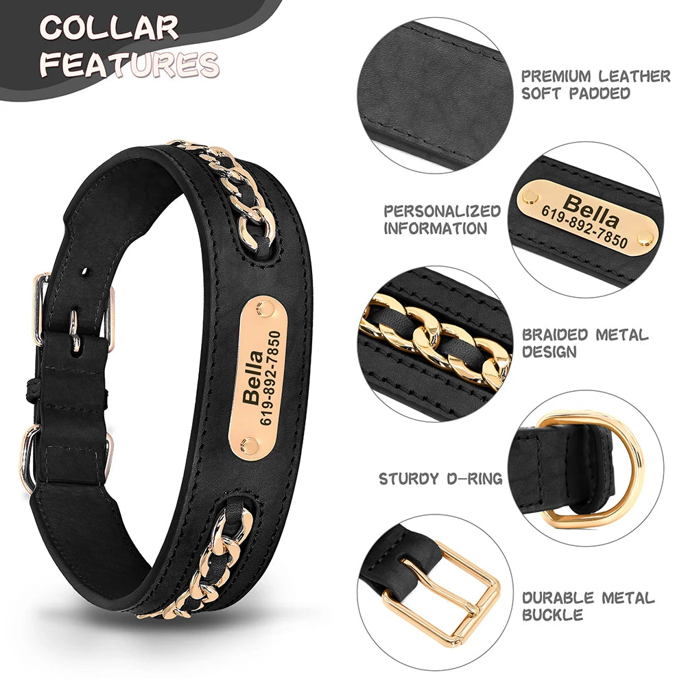 Custom Collar