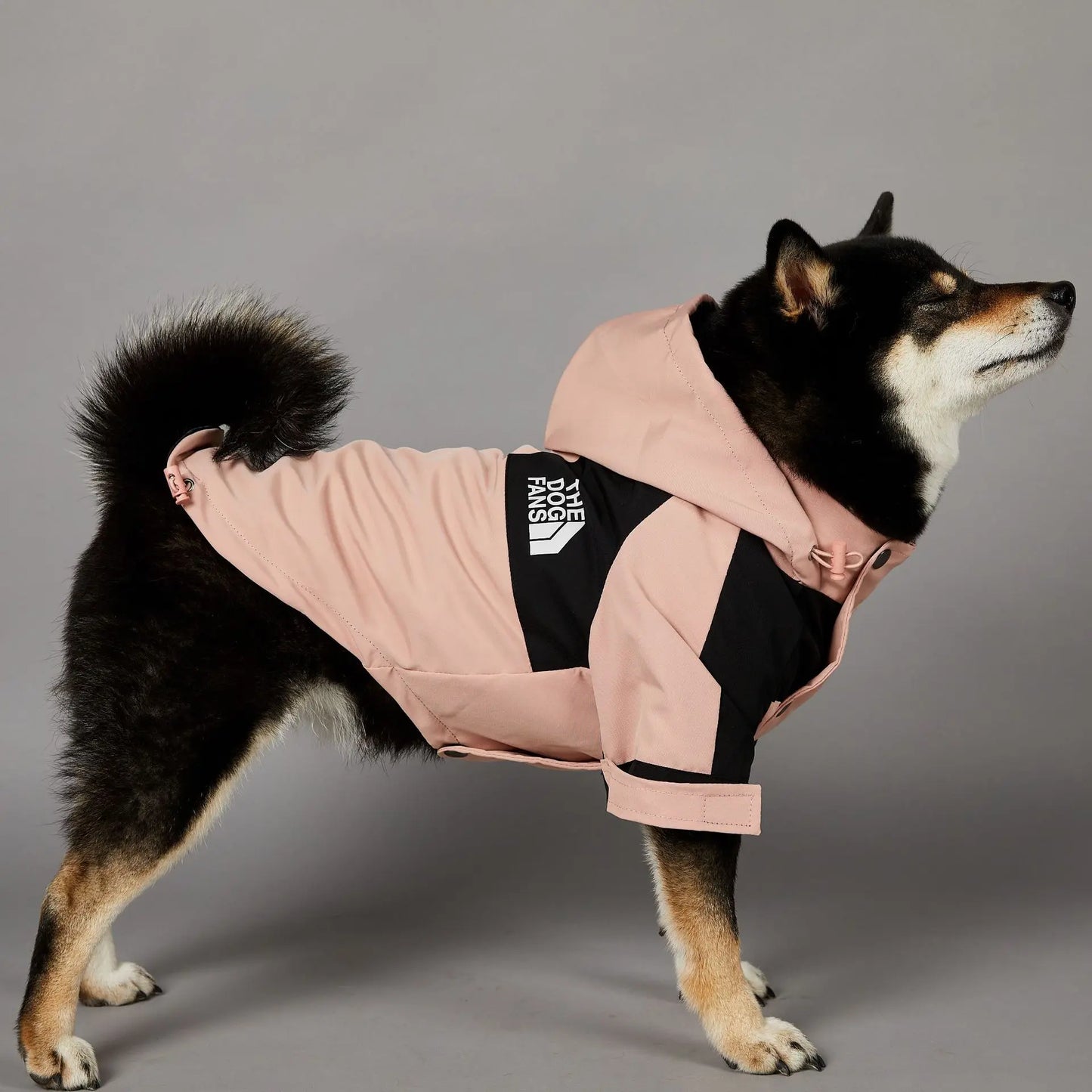 The Dog Face Raincoat