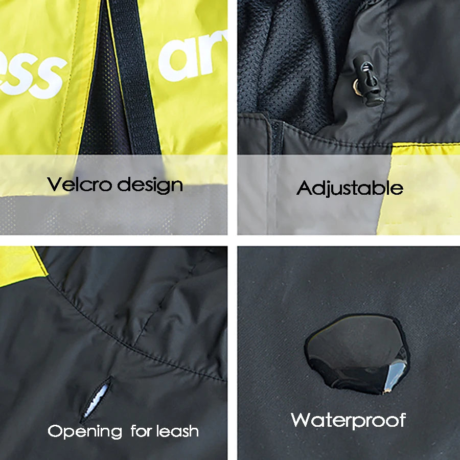The Dog Face RaIncoat