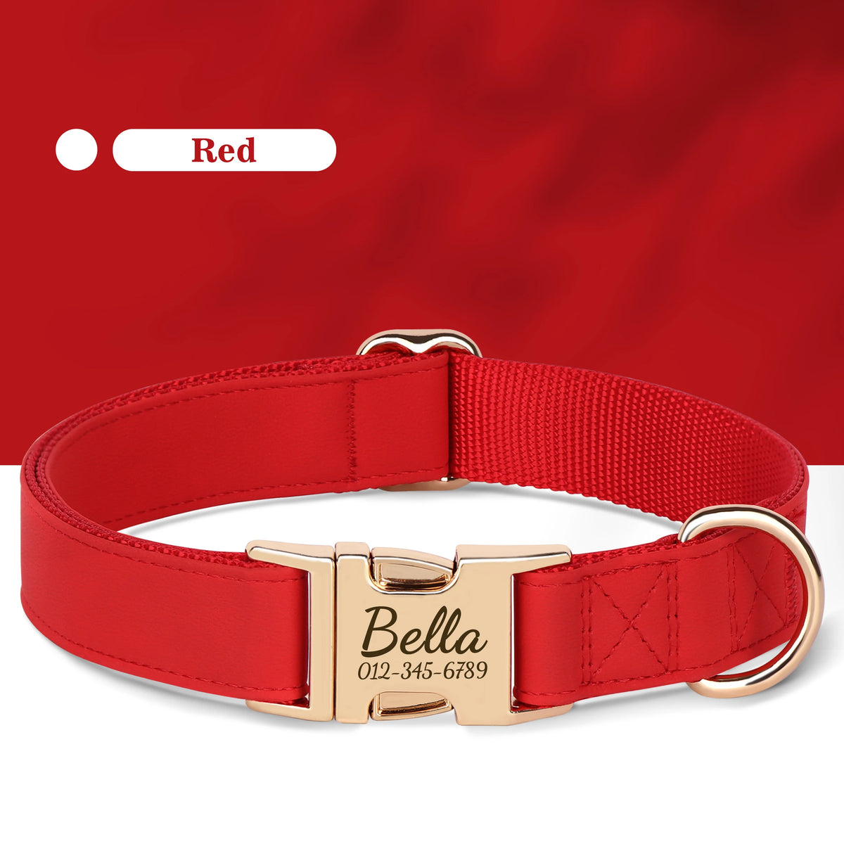 Engraved Leather Collar