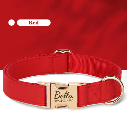 Engraved Leather Collar