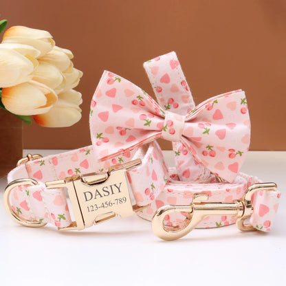 Custom Collar & Leash